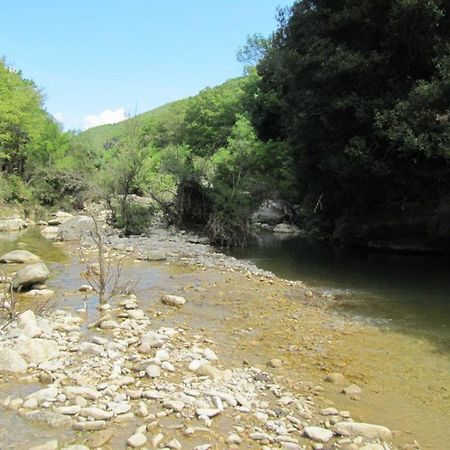 Natura E Cavallo Villa Tolfa Esterno foto