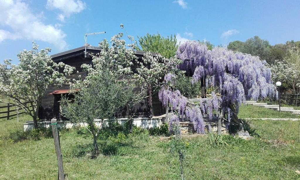 Natura E Cavallo Villa Tolfa Esterno foto