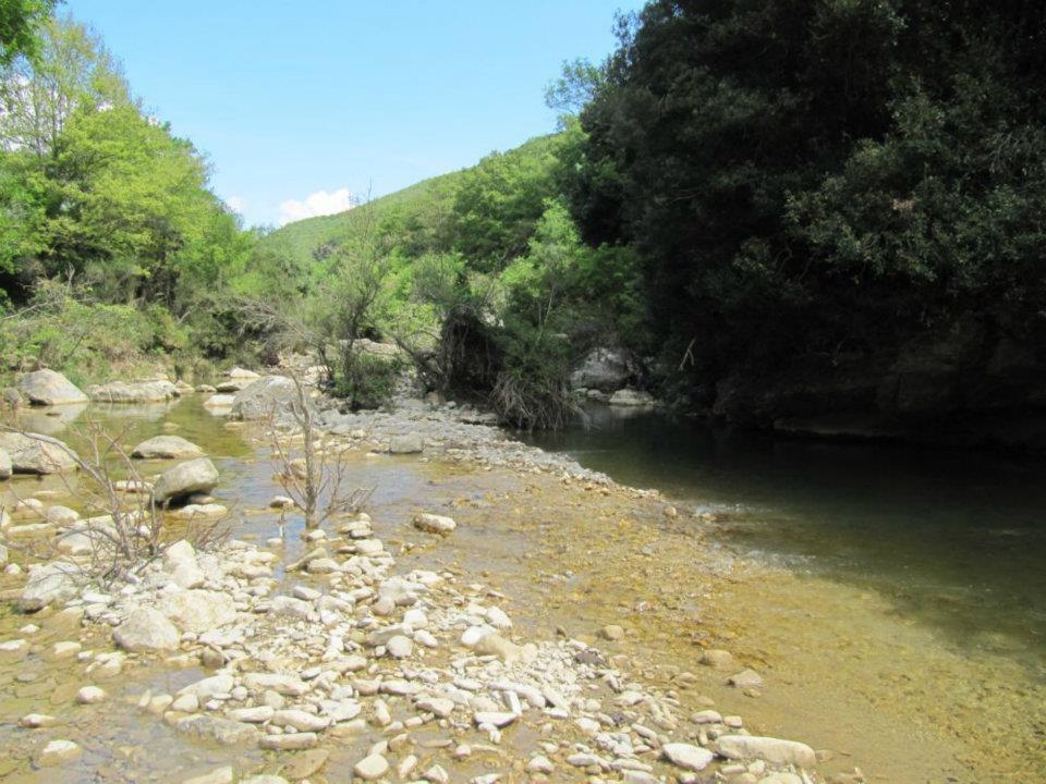 Natura E Cavallo Villa Tolfa Esterno foto